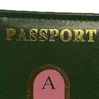 Porte-passeport AKA Étui de voyage vert et rose en cuir premium avec lettres grecques, organisateur de voyage, style portefeuille fin