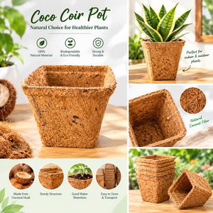 Pot de fleurs carré en fibre de coco, biodégradable, écologique, pour plantes vertes, utilisation sur bureau, style moderne, non enduit - Product Image 2