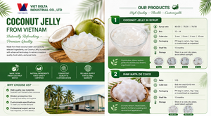 ผู้ผลิตวัตถุดิบอาหารจากวุ้นมะพร้าวธรรมชาติ 100% โรงงานเวียดนาม ส่งออกจำนวนมาก - Product Image 5