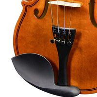 New 3/4 Acoustic Violin Set with Hard Case Bow Shoulder Rest Rosin Extra Strings and Sourdine