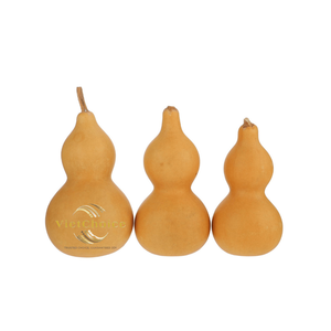 Botella Tallada Ecológica, Recuerdo DIY, Regalo Empresarial Duradero, Artesanía de Calabaza Seca Natural Orgánica Vietchoice para Decoración - Product Image 2