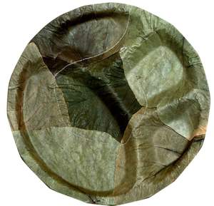 Best Quality Areca Palm Leaf <b>Disposable</b> Dinner <b>Plates</b> with Eco Friendly Biodegradable Tableware for Home Hotels & Restaurant Use - Product Image 3