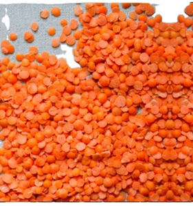 Lentilles vertes, lentilles rouges, brunes et jaunes, bon marché, collection - Product Image 2