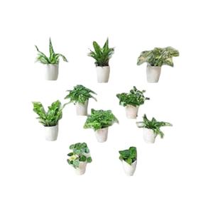 Maceta Colgante de Pared Ecológica Galvanizada, Diseño Cuadrado, Acabado en Color Blanco, para Jardín o Balcón - Product Image 1