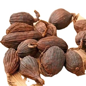 Cardamomo seco de alta calidad de Vietnam Gran cantidad de productos agrícolas suministrados - Product Image 1