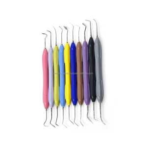 Medivolve 10Pcs Manual Reusable Silicone Handle Dental Composite Instruments Kit for Style CE ISO OEM ODM Wholesale Supplier - Product Image 1