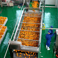Sinaasappelsap Productie-Installatie En Concentraat Lijn Fruit & Vetable Juicer Machine Voor De Verwerking Van Sinaasappelolie