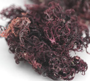 MUSGO DE MAR DE GRADO SUPERIOR AL MEJOR PRECIO DE VIETNAM LISTO PARA EXPORTAR A GRANEL - Product Image 3