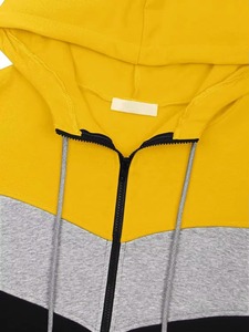 Wholesale Men's <b>Polyester</b>/Cotton Autumn Fleece Oversized Vintage <b>Hoodie</b> with Pocket Digital Printing Color Block Streetwear - Product Image 4