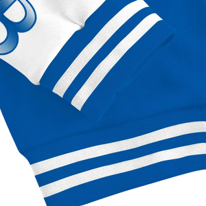 Chaqueta para hombre, estilo universitario, con letras griegas bordadas, estilo Zeta Phi Beta, ropa de calle premium, abrigo de invierno - Product Image 6