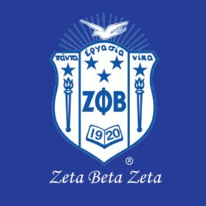Zeta Phi Beta Bow <b>Blouse</b> Women Blue Long Sleeve Button Front <b>Satin</b> Top Elegant Sorority Apparel Stylish Office Shirt - Product Image 3
