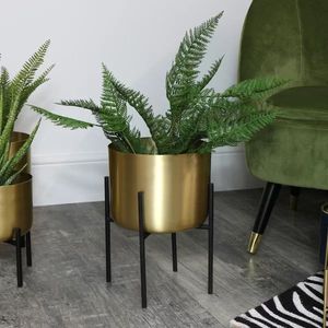 Jarrón de Mesa Moderno de Metal Natural Transparente para Decoración del Hogar con Temática Orgánica y Elegancia Sutil - Product Image 5