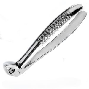 Forceps dentaires n°33 pour extraction dentaire, en acier inoxydable chirurgical, outil réutilisable, équipement professionnel, vente en gros, extraction dentaire - Product Image 6