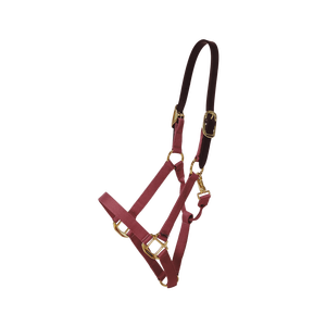 Premium Wholesale Popular Luxurious Elegant Perfect Adjustable Fashionable Padded Leather Horse <b>Halter</b> - Product Image 1