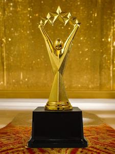 Trofeo Metálico Elite India para Programas de Reconocimiento de Excelencia de Empleados de Empresa, Trofeo a Precio de Mayoreo con Suministro Directo - Product Image 2