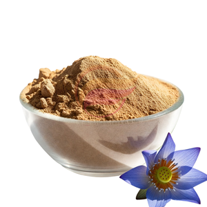 Extrait Pur de Fleur de Lotus Bleue en Poudre 50:1 100:1 200:1 Extrait Naturel d'Herbes Extraction Liquide-Solide Qualité Alimentaire Contenant en Verre - Product Image 1