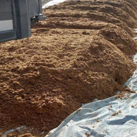 Ingrédient Alimentaire Premium pour Bétail, Volaille et Porcs : Grains Séchés Naturels de Brasseur, 40% Protéines et Fibres, Origine Vietnam