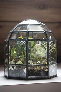 Terrarium décoratif personnalisé en métal et verre, jardinière moderne en verre pour plantes d'intérieur, succulentes, plantes aériennes et terrarium DIY - Product Image 6