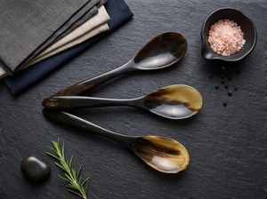 Premium Quality Wood Horn Spoon Set Organic Texture Polished for Serving Salt Sugar Spices Elegant Kitchen Display - Product Image 4