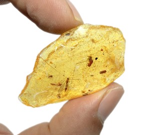 Pierre précieuse brute en ambre naturel de la Baltique, jaune ambre, 20 carats, avec insectes (fourmis), pour la fabrication de bijoux, 45x27x7 mm - Product Image 1