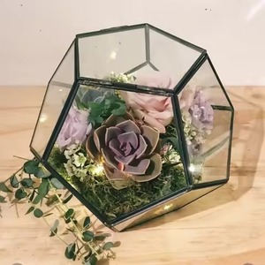 Terrario Moderno de Metal y Vidrio, Elegante Soporte para Plantas de Interior, Decoración Geométrica para Mesa - Product Image 1