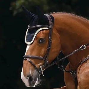 Voile anti-mouches pour cheval, bonnet d'oreille entièrement personnalisé, masque anti-mouches pour cheval, équitation professionnelle, vente en gros sur mesure - Product Image 1
