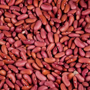 High Density <b>Red</b> Kidney Beans Naturally Cultivated And Professionally Cleaned For Bulk Food Service Applications - Product Image 1