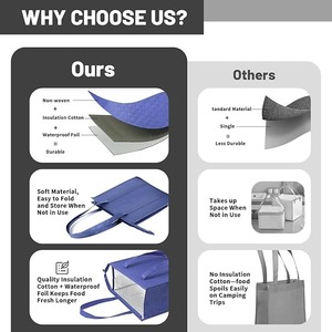 Compact and stylish from Vietnam Insulated Lunch Cooler Bag Small Cooler Bag OEM Customizable Unisex - Product Image 5