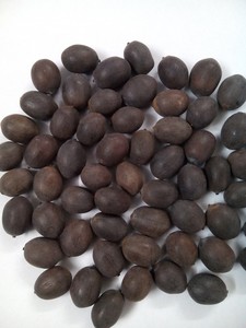 Semillas de Loto Congeladas de Alta Calidad (IQF) – Peladas / Enteras, Precio Competitivo // Mr.Tom - Product Image 5