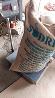 Café Vert Robusta Arabica Certifié ISO 22000 du Premier Exportateur Vietnamien, Grade G1, Marque AGRIKIM, Grains de Haute Qualité