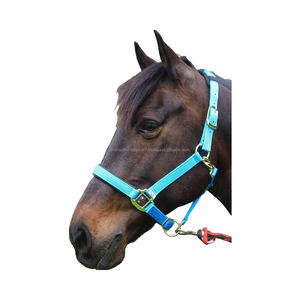 Cabestro de caballo de nailon Premium de alta calidad totalmente ajustable con hardware y mano de obra de calidad - Product Image 1