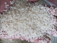 Riz Japonica pour Sushi, Riz Japonais Rond, 5% de grains cassés, du Vietnam, Séché, Durée de Conservation de 2 Ans, 5kg/10kg/25kg, Riz Arroz