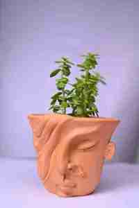 Naturix Customized LOGO Red Clay <b>Terracotta</b> <b>Pots</b> for Plants Ceramic <b>Flower</b> <b>Pot</b> with Drainagair <b>pot</b> - Product Image 6