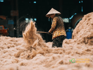 Fardos de Fibra de Coco a Granel |   Fibra Natural Comprimida para Horticultura y Agricultura |   Suministro de Exportación de Vietnam - Product Image 6
