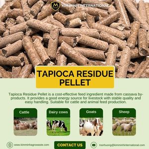 Pellets de Residuos de Tapioca de Alta Calidad para Alimentación Animal – Fuente de Energía Derivada de Yuca - Product Image 5