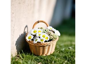 Cesta colgante de mimbre para cocina, ideal para exhibir pequeños artículos de supermercado, organizador de pared y decoración que ahorra espacio, de la India. - Product Image 4