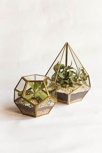 Terrarium géométrique d'intérieur, verre, plante d'intérieur de haute qualité, terrarium géométrique - Product Image 5