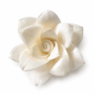 Wholesale Premium White Essential Oil Artificial Decorative Sola Wood Flower Handmade Thailand White Camellia Sola Flower 8cm - Product Image 2