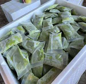 Trozos de Aguacate Congelados IQF de Primera Calidad, Calidad de Exportación, Vietnam - Product Image 4