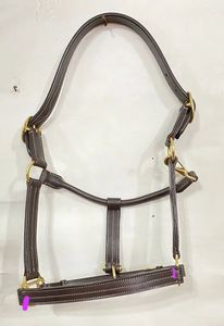 Horse Riding Equestrian <b>Halter</b> Brown Bombshell Leather Cattle Show <b>Halter</b> - Product Image 3