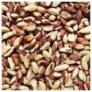 Noix du Brésil entières - Grande taille, déshydratées, en coque. Taille : 57-65 noix par livre. - Product Image 1