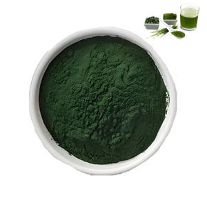 Polvo de espirulina 100% puro y natural, polvo de espirulina de malla fina, polvo de espirulina en aerosol, venta al por mayor de polvo de espirulina a granel de la India. - Product Image 2