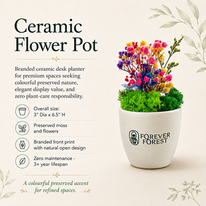 Pot de fleurs en céramique durable avec mousse et fleurs préservées 3"(Diamètre) X 6.5"(Hauteur) – Cadeau écologique pour table ou bureau - Product Image 6