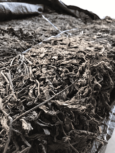 Gelée d'herbe séchée de qualité supérieure du Vietnam, feuilles en vrac séchées au soleil, approvisionnement B2B, norme d'exportation mondiale - Product Image 6