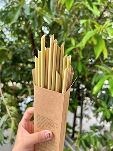 Pajitas ecológicas para bebidas, pajitas rectas desechables para hierba, paquete OEM personalizable en caja para accesorios de bar de Vietnam - Product Image 5