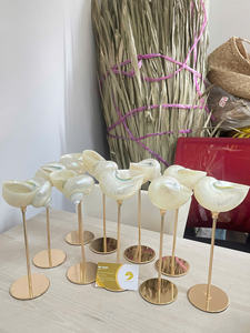 Handcrafted Conch Shell <b>Wine</b> Glass | Natural <b>Goblet</b> | Great for Coastal Bar & Tropical Wedding - Product Image 5