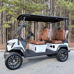 Carritos de golf eléctricos de un solo asiento para adultos en buen estado, funcionando, tipo Club Car, a bajo precio, al por mayor, en stock para la venta. - Product Image 1