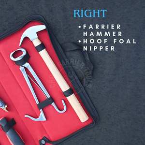 Kit d'outils de fermeur pour chevaux en gros, pour l'entretien des sabots, avec râpe de finition de sabot, couteau à sabot à extrémité en laiton, cisaille à sabots pour poulains et marteau à clous - Product Image 3
