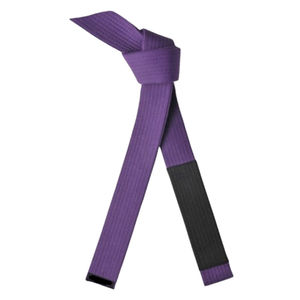 Cinturones de Karate de Artes Marciales Hechos a Medida de Alta Calidad, Última Moda en Cinturones de Color Sólido Personalizados, Servicio OEM, Fabricante Mayorista - Product Image 3