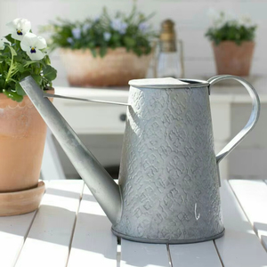 Arrosoir de jardin classique vintage en métal avec long bec verseur et design décoratif pour plantes d'intérieur et d'extérieur - Product Image 1